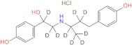 Ractopamine-d9 HCl (2-hydroxyethyl-1,1,2-d3; 1-methyl-d3propyl-1,2,2-d3)