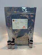 USP PT Express Panel - Lactose Monohydrate #PHPT-PL-04B