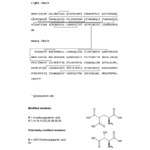 Coagulation Factor VIIa