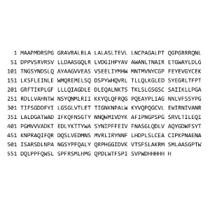 Purified Recombinant CHO Phospholipase B- like 2 protein (PLBL2) [HIS]
