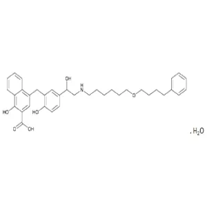 Salmeterol Related Compound H