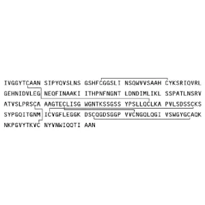 Trypsin Recombinant Porcine