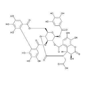 Chebulagic Acid