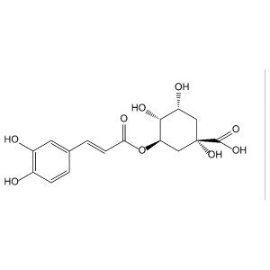 Chlorogenic Acid