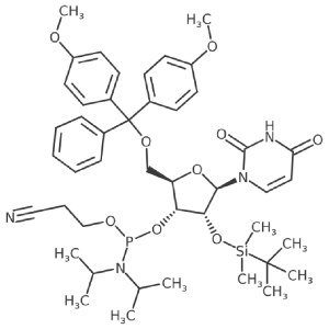U β-Cyanoethyl Phosphoramidite