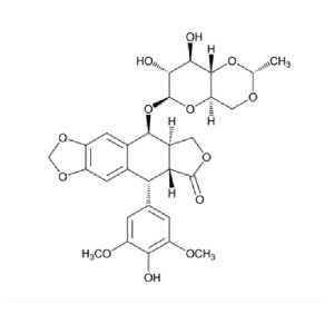 Etoposide
