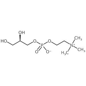 L-α-Glycerylphosphorylcholine