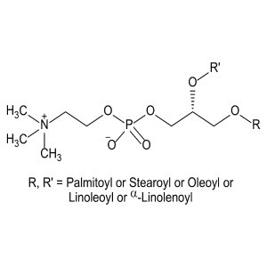Phosphatidylcholine (Soy)