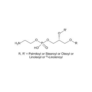 Phosphatidylethanolamine (Soy)