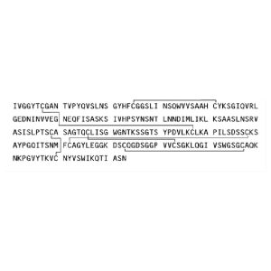 Trypsin Bovine