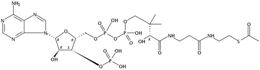 Acetyl Coenzyme A, triammonium salt