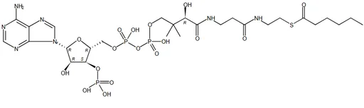 Hexanoyl Coenzyme A free acid