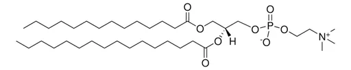 1-Myristoyl-2-Palmitoyl-sn-Glycero-3-Phosphatidylcholine