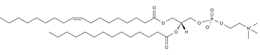 1-Oleoyl-2-Myristoyl-sn-Glycero-3-Phosphatidylcholine