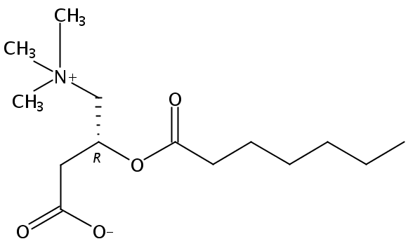 Heptanoyl-L-Carnitine HCl salt