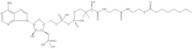 Octanoyl Coenzyme A free acid
