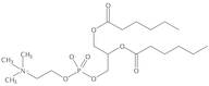 1,2-Dihexanoyl-sn-Glycero-3-Phosphatidylcholine
