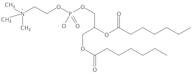 1,2-Diheptanoyl-sn-Glycero-3-Phosphatidylcholine