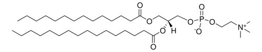 1-Myristoyl-2-Palmitoyl-sn-Glycero-3-Phosphatidylcholine