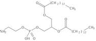 1,2-Dimyristoyl-sn-Glycero-3-Phosphatidylethanolamine