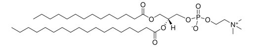 1-Myristoyl-2-Stearoyl-sn-Glycero-3-Phosphatidylcholine