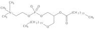 1,2-Di-O-Hexadecyl-sn-Glycero-3-Phosphatidylcholine