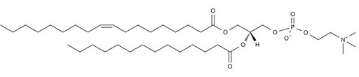 1-Oleoyl-2-Myristoyl-sn-Glycero-3-Phosphatidylcholine