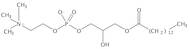 1-Myristoyl-2-Hydroxy-sn-Glycero-3-Phosphatidylcholine