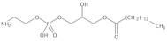 1-Myristoyl-2-Hydroxy-sn-Glyc-3-Phosphatidylethanolamine