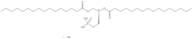 1,2-Dipalmitoyl-sn-Glycero-3-Phosphatidic acid