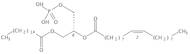 1-Palmitoyl-2-Oleoyl-sn-Glycero-3-Phosphatidic acid