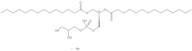 1,2-Dimyristoyl-sn-Glycero-3-Phosphatidylglycerol Na salt
