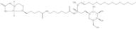 N-Hexanoyl-biotin-galactosylceramide