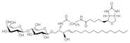 N-Hexanoyl-biotin-lactosylceramide