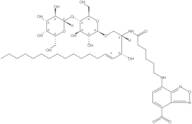 C6 NBD-Sphingosine, beta-D-lactosylsphingosine