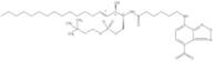 C6 NBD-Sphingosylphosphorylcholine
