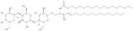 Octadecanoyl-ceramide trihexoside