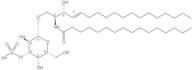 Palmitoyl Sulfatide