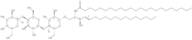 Tricosanoyl ceramidetrihexoside (C23 CTH)