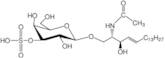 N-Acetyl-sulfatide