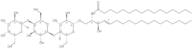C16 Globotriaosylceramide (d18:1/16:0)