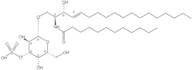 C12 3'-sulfo Galactosylceramide (d18:1/12:0)