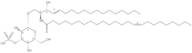 C24:1 3'-sulfo Galactosylceramide (d18:1/24:1(15Z))