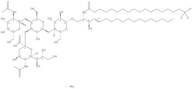 N-omega-CD3-Octadecanoyl monosialoganglioside GM2 NH4+ salt