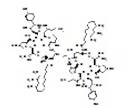 Gaspofungin Dimer Impurity 2