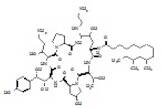 Gaspofungin Impurity F