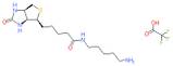 5-(Biotinamido)pentylamine nTFA