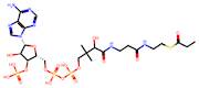 Propanoyl Coenzyme A, Sodium Salt
