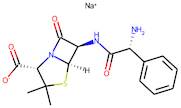 Ampicillin Sodium