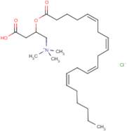 Arachidoyl-DL-carnitine chloride